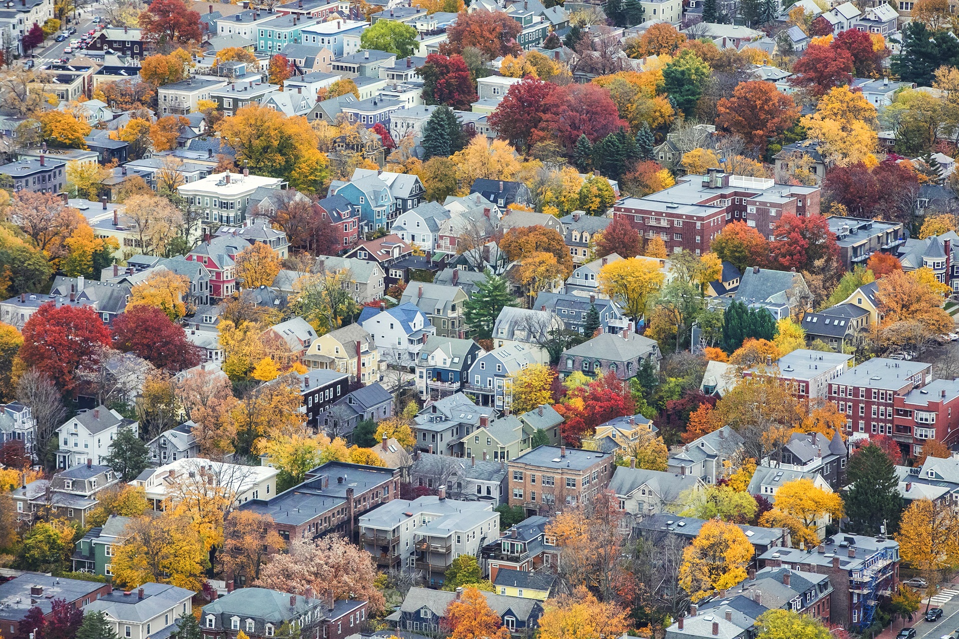 Aerial Shot of Mid-Cambridge in the Fall