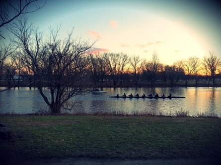 Rower on Charles River at Dusk