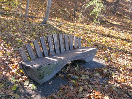 Ryerson Bench at Fresh Pond