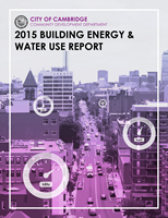 Report Cover for 2015 BEUDO Report