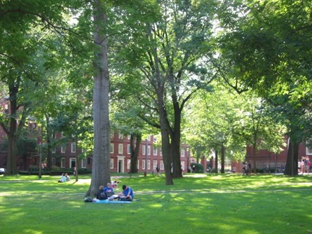 Harvard Yard Daytime