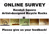 Bike Survey