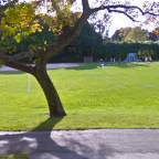Photo of a Cambridge park
