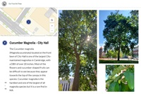 Screenshot of the Our Favorite Trees Story map showing a small map, description, and a collage of tree photos
