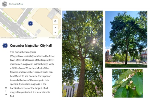 Screenshot of the Our Favorite Trees Story map showing a small map, description, and a collage of tree photos