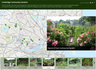storymap, GIS, community gardens, cambridge, ma