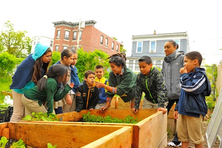 Green City Growers with Artist Mark Cooper and The Moses Youth Center: Urban Agriculture and Sculpture Hub.