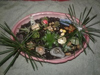 Event image for O'Connell Succulent Fairy Garden Workshop