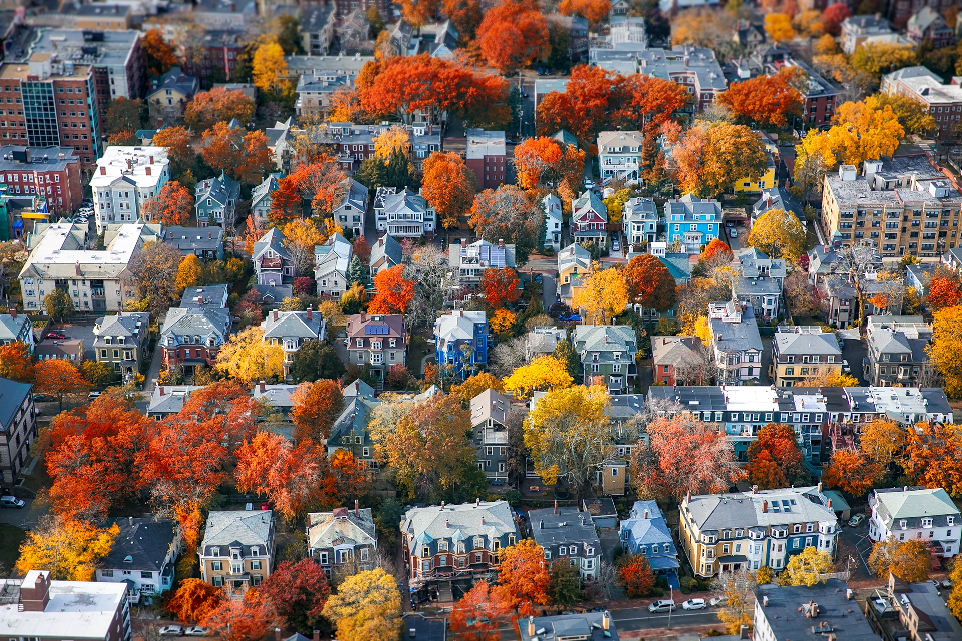 Aerial Photo of Homes and Trees