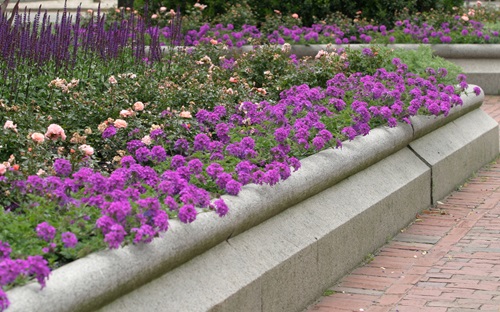 Committee on Public Planting