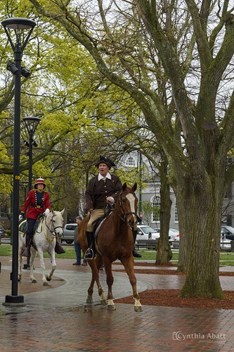 Image of a man on a horse as part of the reenactment of William Dawes' historic horseback ride from Boston to Cambridge alerting the colonists of the British threat of 1775.