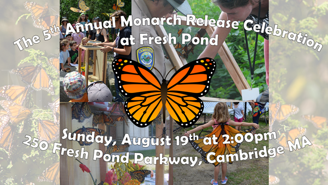 Sunday August 19th is the Butterfly Release