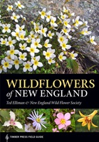 Ted Elliman - Wildflowers of New England book