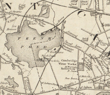 Map of the Cambridge Water works from 1878.
