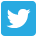 Image result for twitter icon small