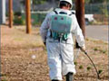 Rodent Control