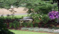 Planting co