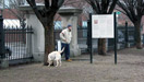 Fort Washington Dog Park