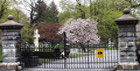 Cemetery gate 