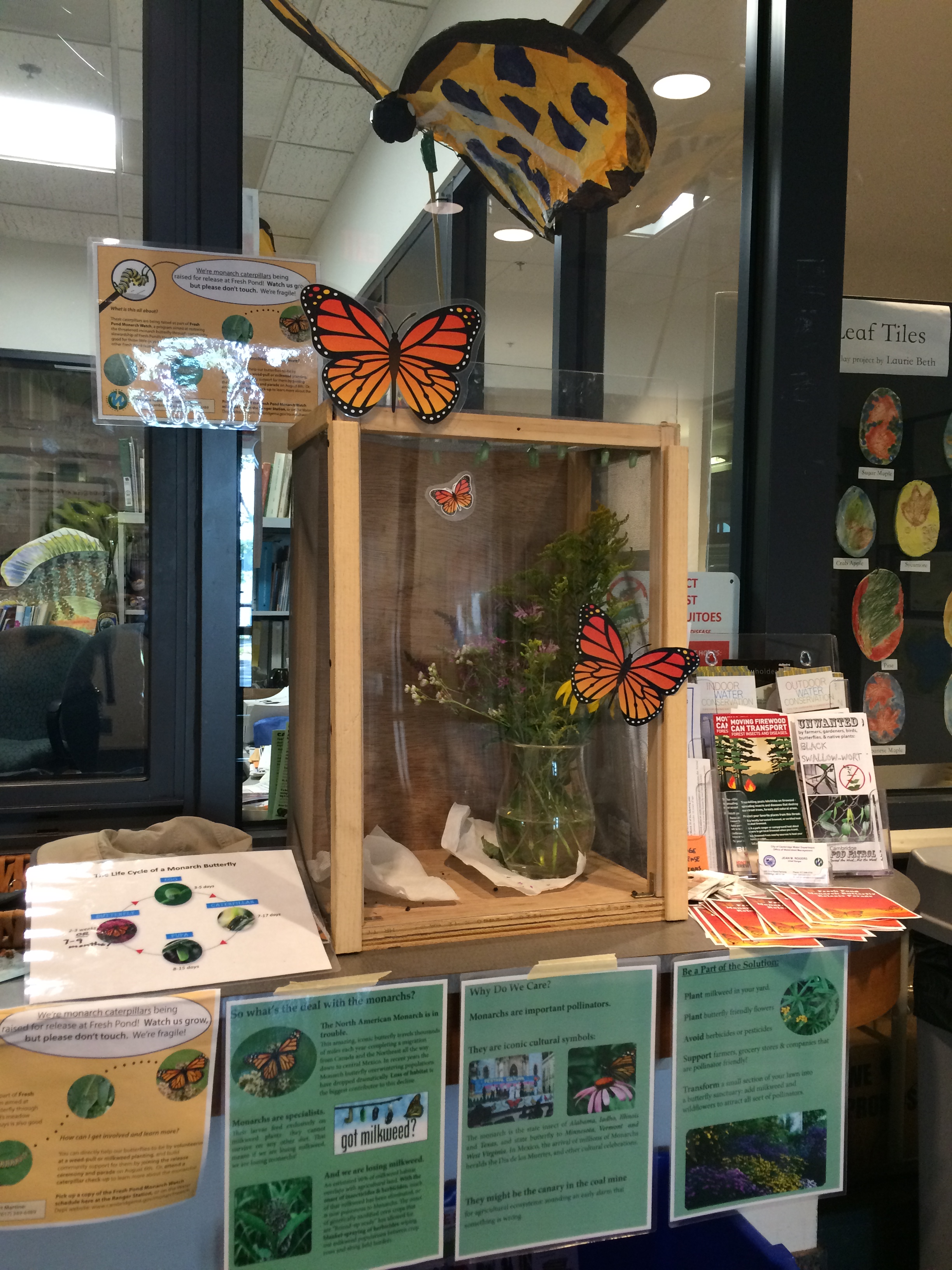Cage setup in the Ranger Station
