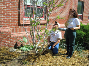 Planting a tree for Arbor Day
