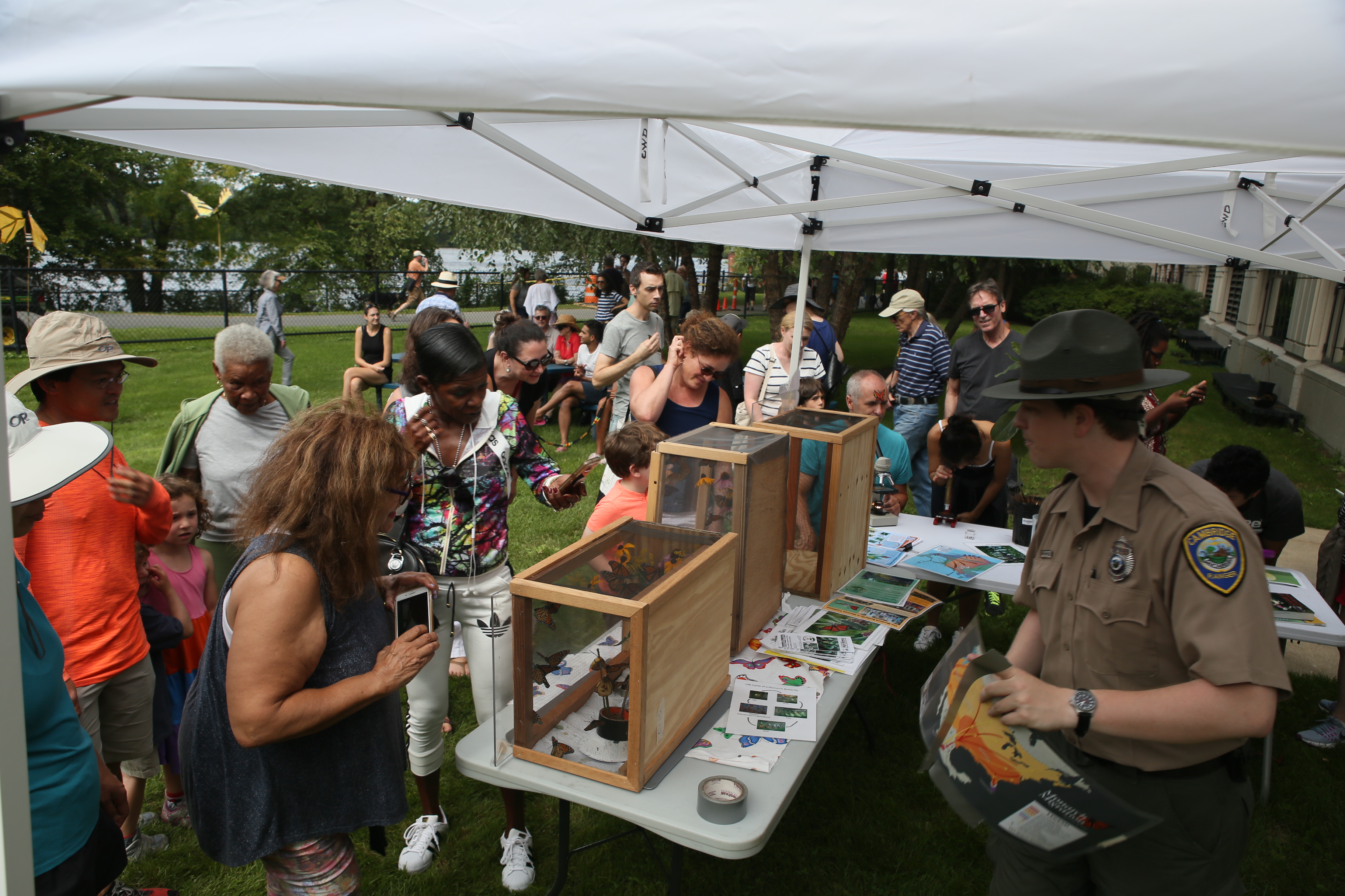 The table that contains the monarchs to be released