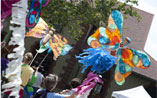 Cambridge river fest. photo