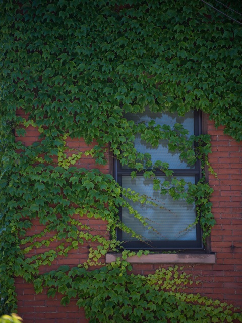 Municipal Sustainability