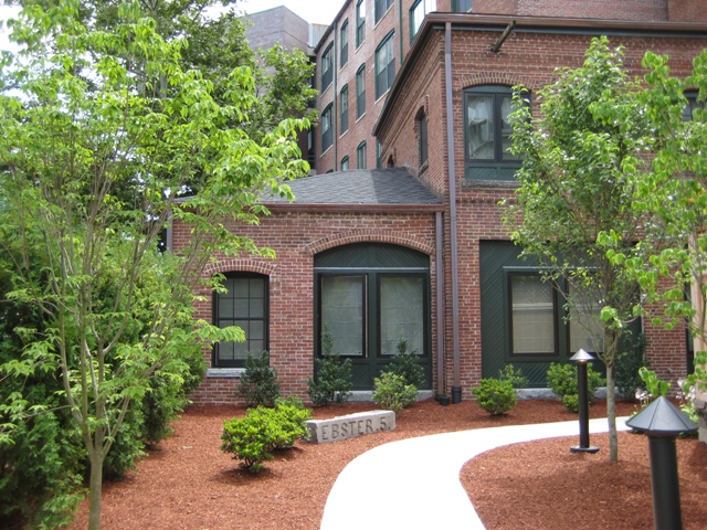 5 Webster