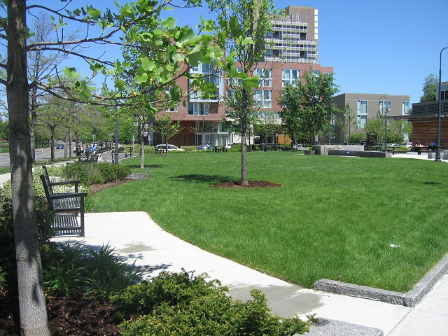 New park in Riverside