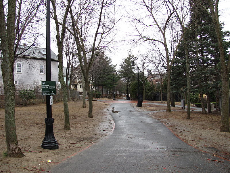 Linear Path