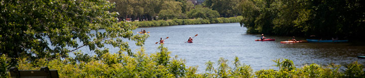 Charles River Scene by Molly Akin