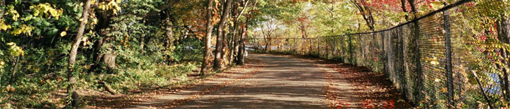 fresh pond walk way