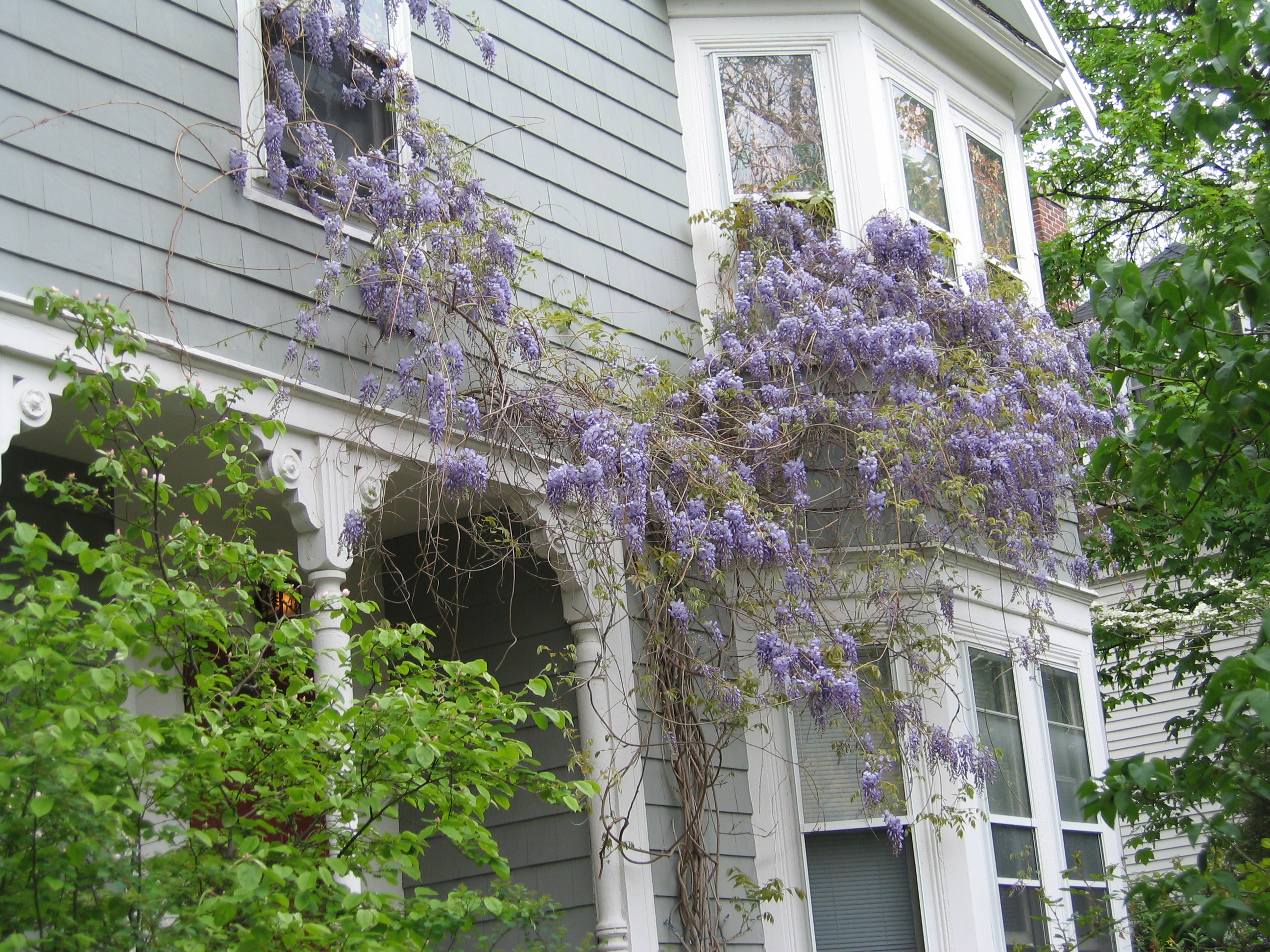 a house in Cambridge City