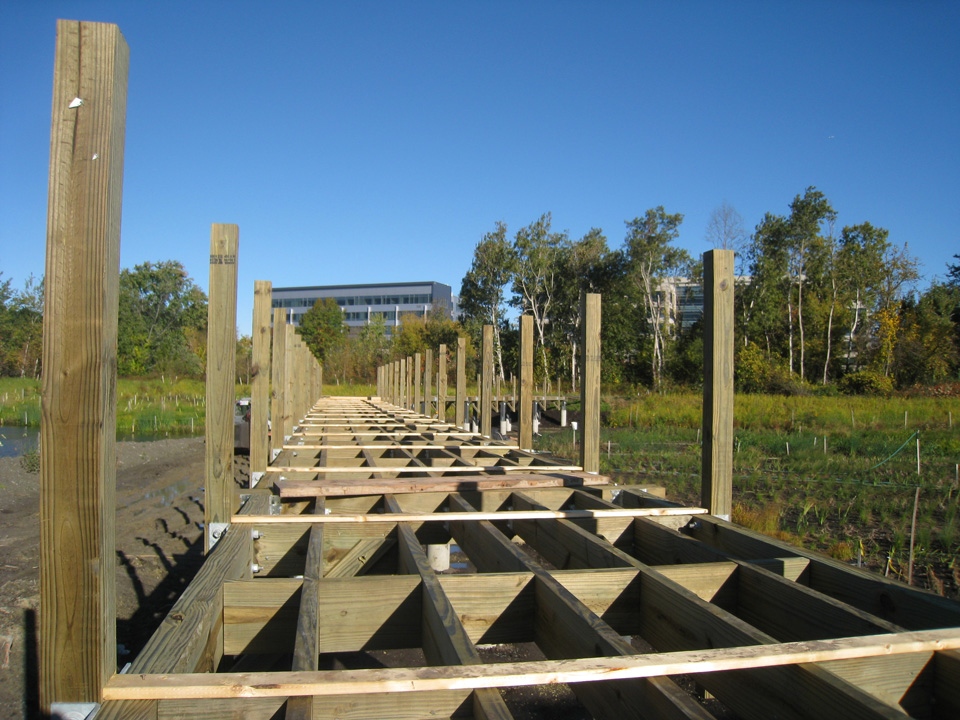 Framing of boardwalk across main basin_October 16 2012