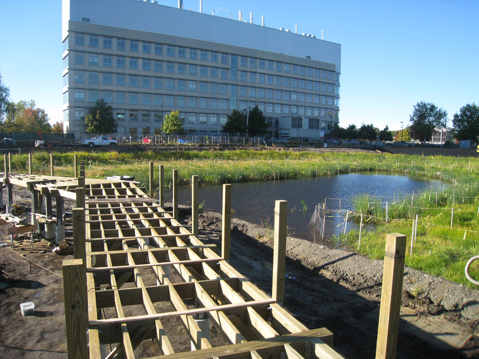 Framing of boardwalk across main basin_October 16 2012