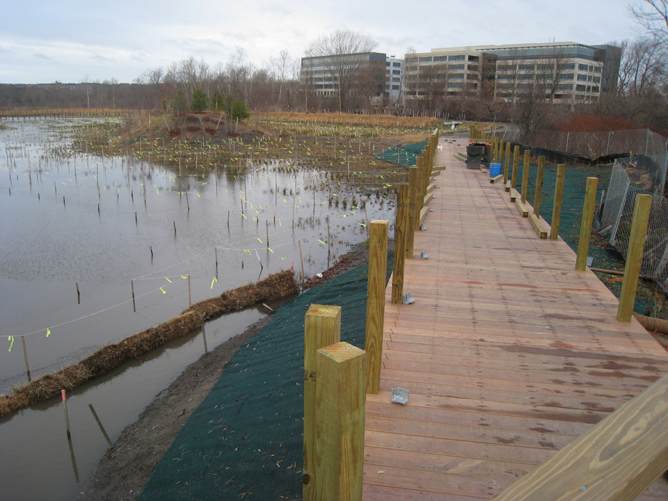 Boardwalk near Upland Peninsula_December 2012