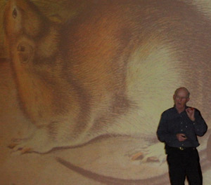 Audubon picture of rat 
