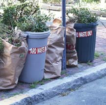 Proper yard waste setout