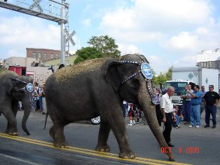 Going to the zoo