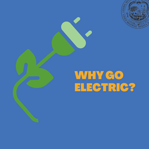 Why Go Electric? in English