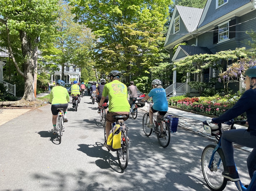 A view of the bike ride group from the back as they go down a residential road.