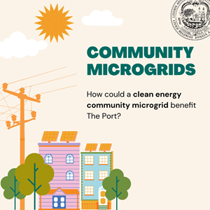 Community Microgrids in English