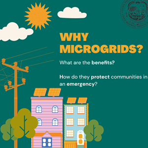 Why Microgrids? in English