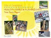 Cover of Healthy Parks and Playgrounds report