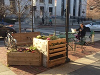 Flower box benches in Central Square