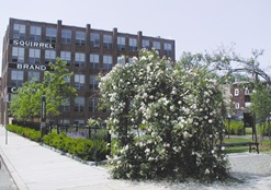 External view of Squirrel Brand Apartments