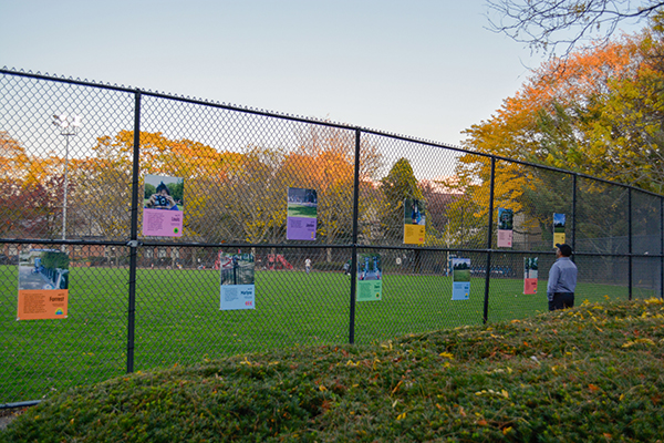 A gallery of photos on display at Hoyt Park.
