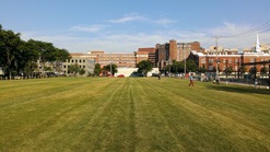 Rogers Street Open Space