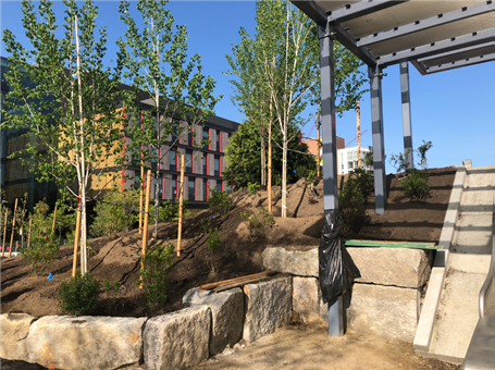 View of construction progress at Toomey Park showing tree plantings and shade structure over slide area